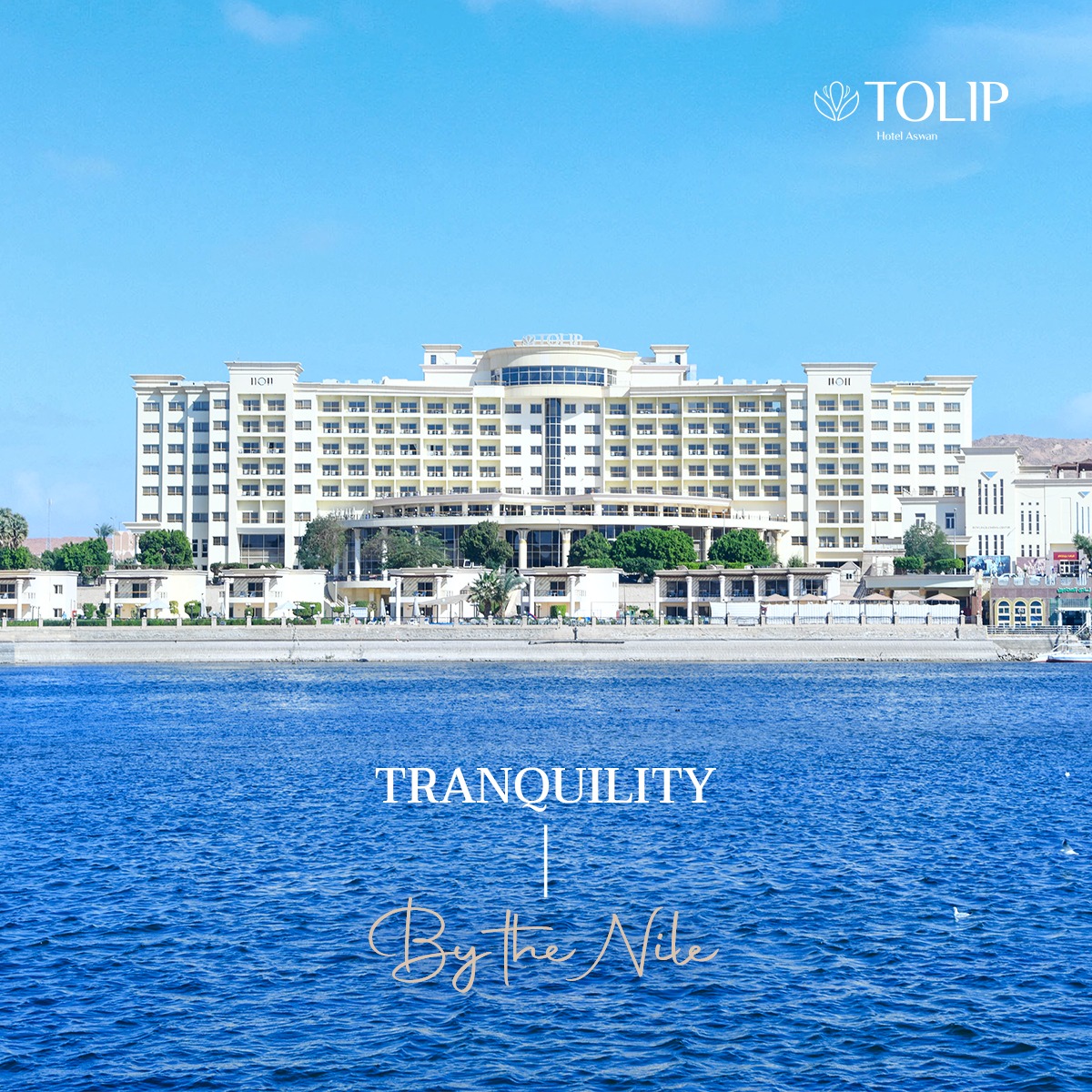 img-hotel